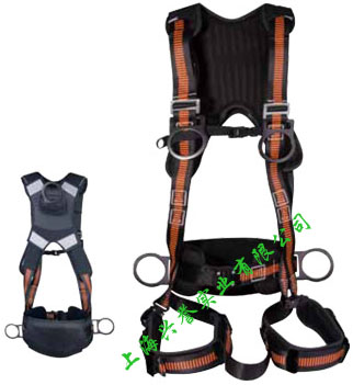 代爾塔501110風(fēng)電專(zhuān)用安全帶